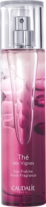 CAUDALIE TH DES VIGNES EAU FRAICHE 50ML